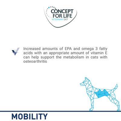 Concetto per la vita Dieta veterinaria Mobilità del cane