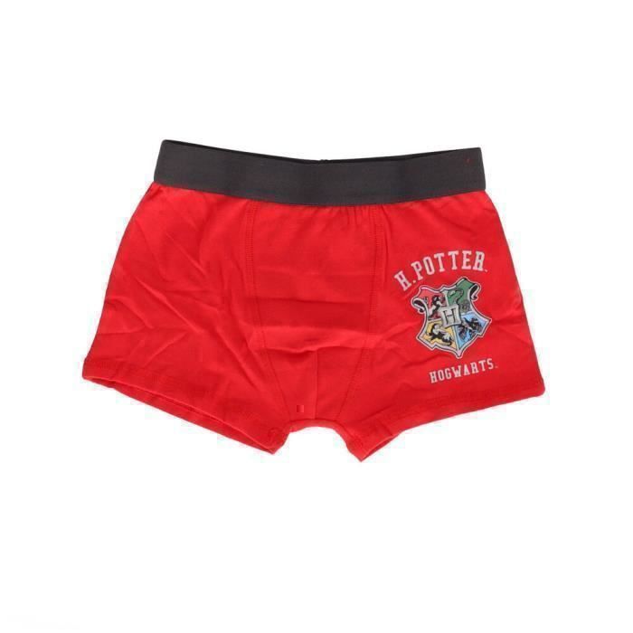 WARNER - Lot De 5 Boxers Harry Potter - Garçon - 4/5 ans