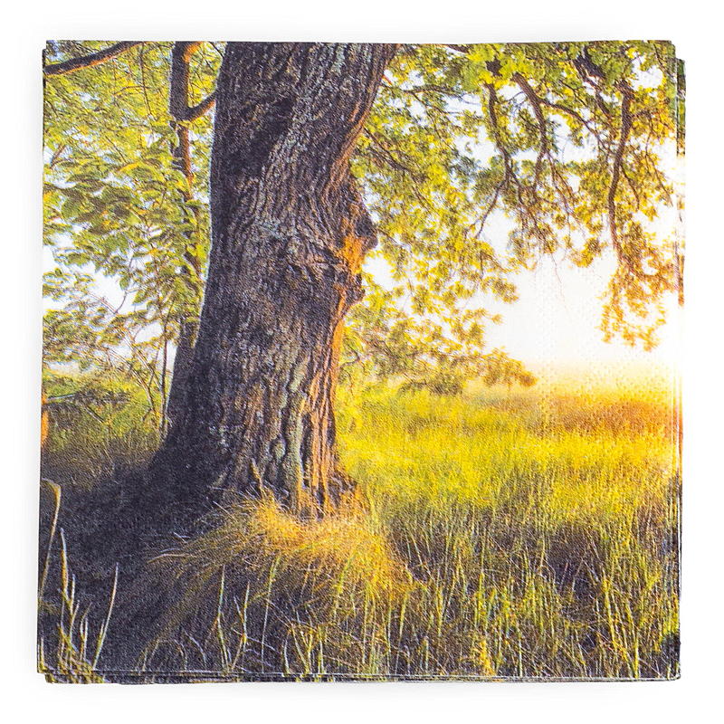 Tovaglioli Vie Home, confezione da 20 pezzi, 33x33 cm, fine estate