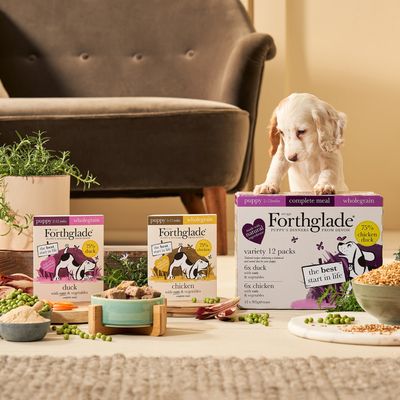 Forthglade Refeição Completa Integral para Filhotes - Pato e Frango