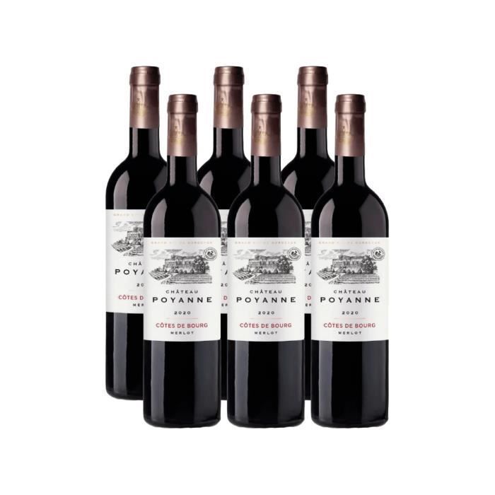 Château Poyanne 2020 - AOC Côtes de Bourg