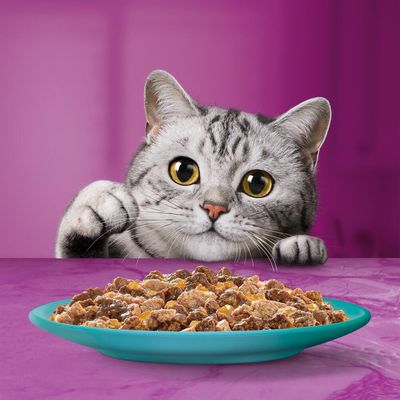 Whiskas 1+ Duo Ocean Delights w galaretce