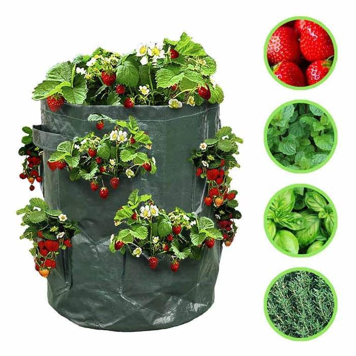 Bolsa para plantar fresas - Bolsa para plantar fresas - X2
