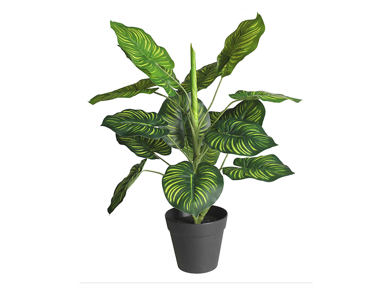 Sztuczny kwiat w doniczce Maranta 45 cm