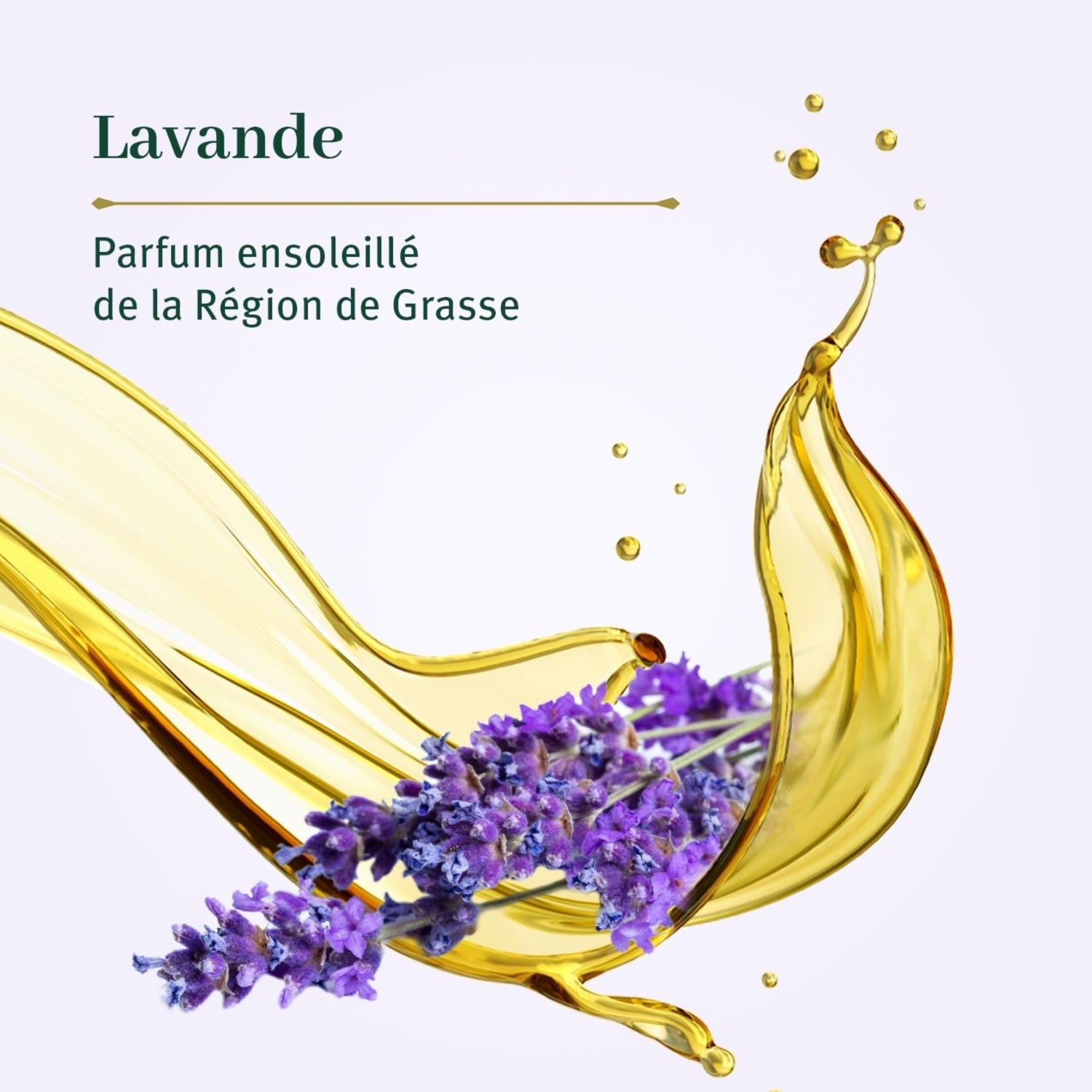 Le Petit Olivier Pur Savon Liquide de Marseille Parfum Lavande