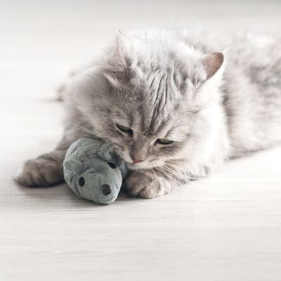 Aumüller Cat Toy Mouse Valeri