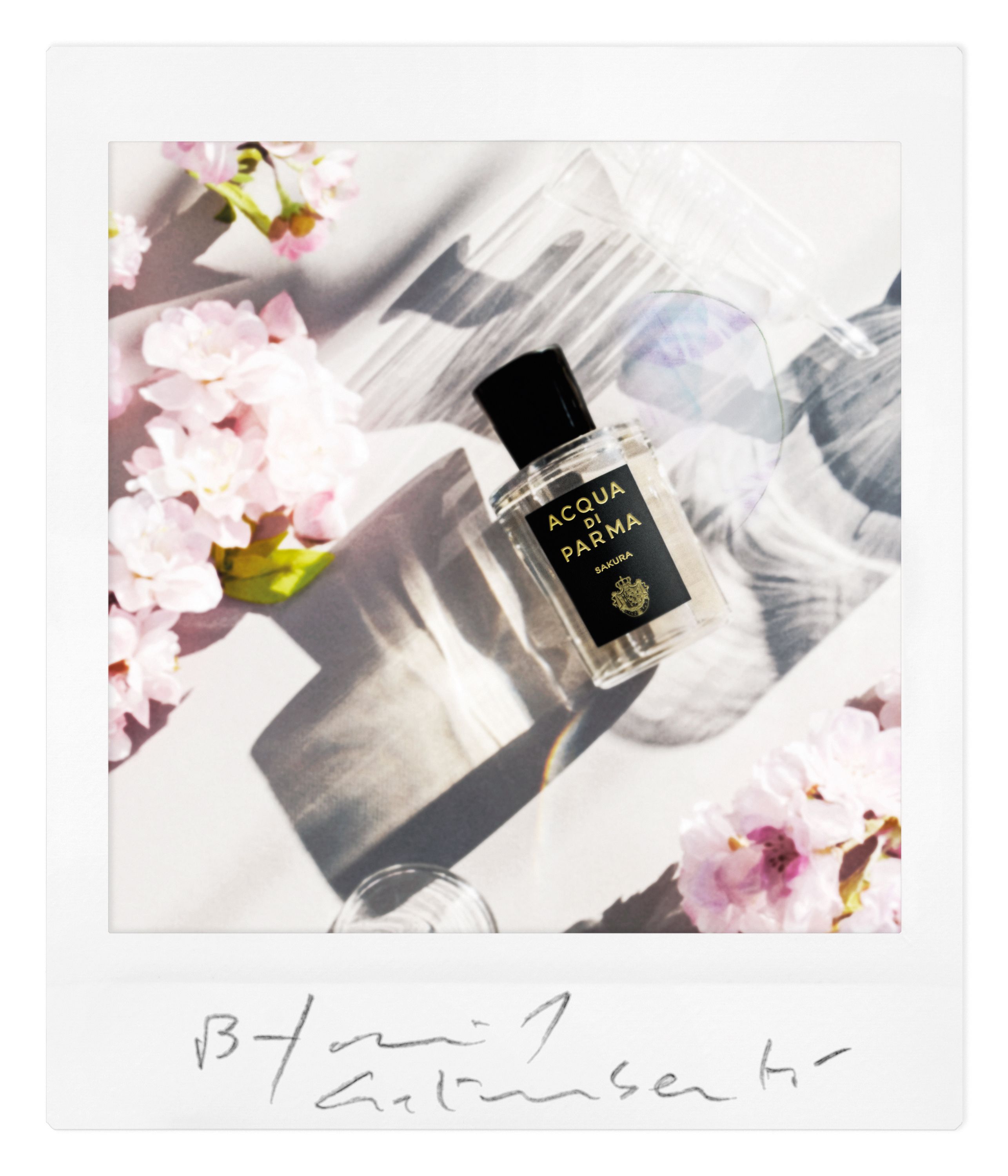 Sakura Eau de Parfum Ženski parfemi