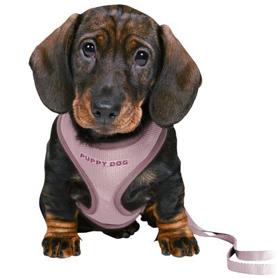 Pettorina morbida per cuccioli Trixie Junior con guinzaglio