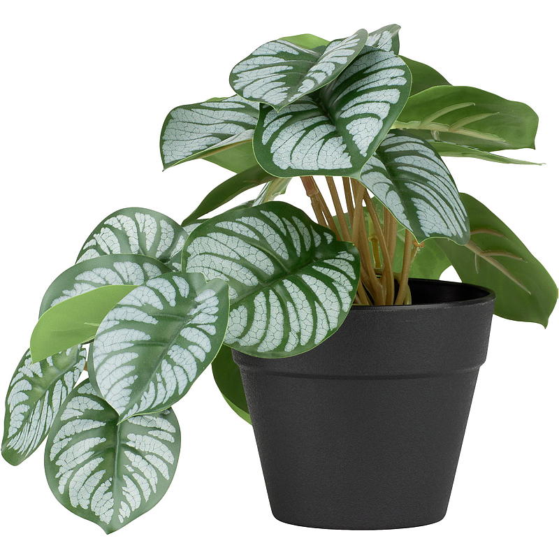 Hem Grön växt 17 cm konstgjord Taro/Alocasia