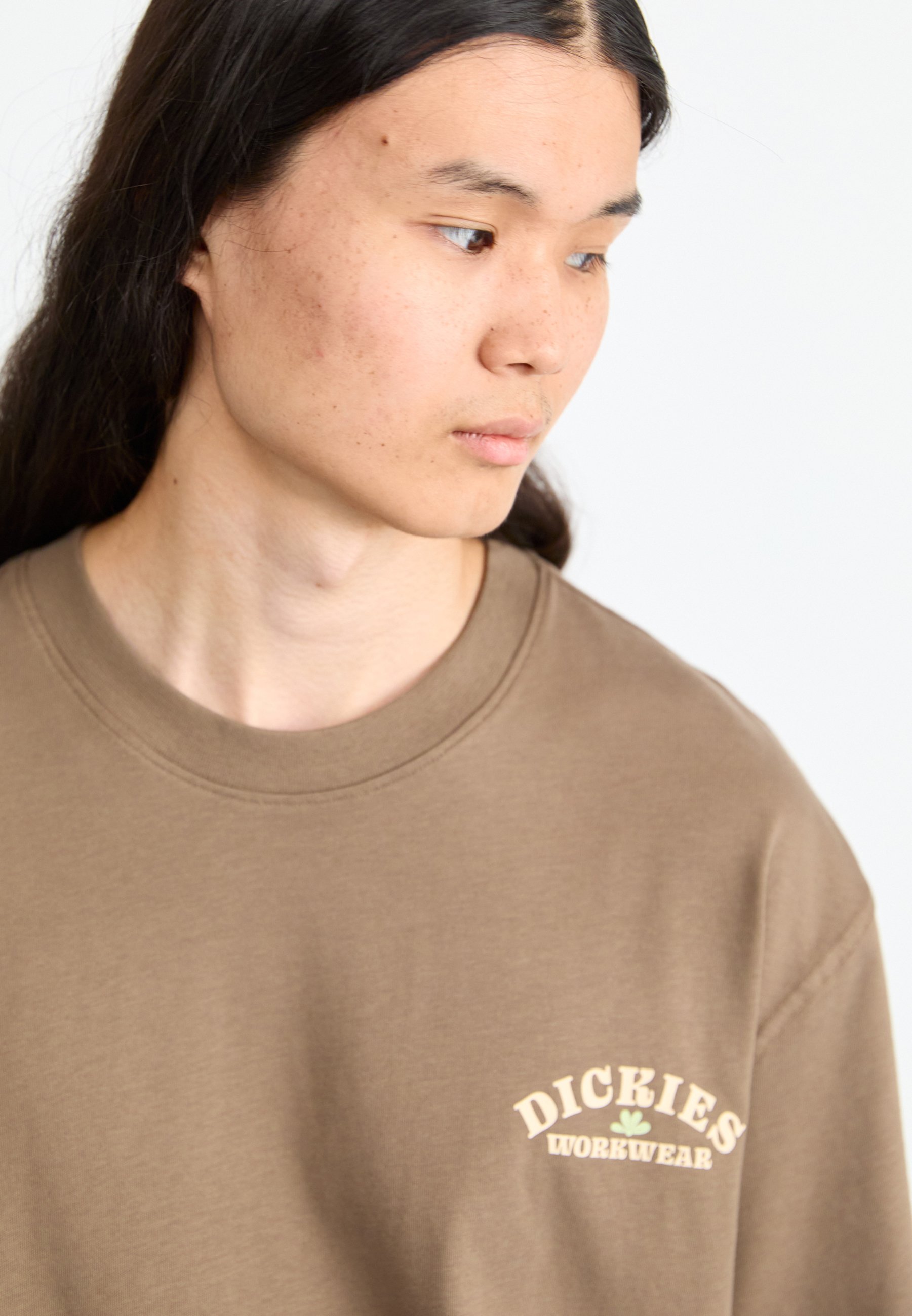 Dickies LUCASVILLE TEE - Koszulka z nadrukiem - grzyb