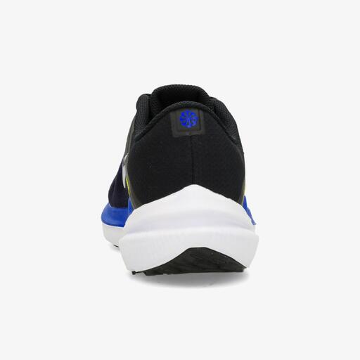Nike Air Winflo 10