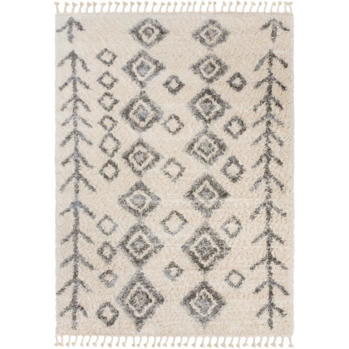 TAPISO Tapis Salon Poils Longs VERSAY Crème Gris Franges Berbère Polypropylène Intérieur 80x200 cm