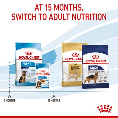 Royal Canin Maxi Puppy