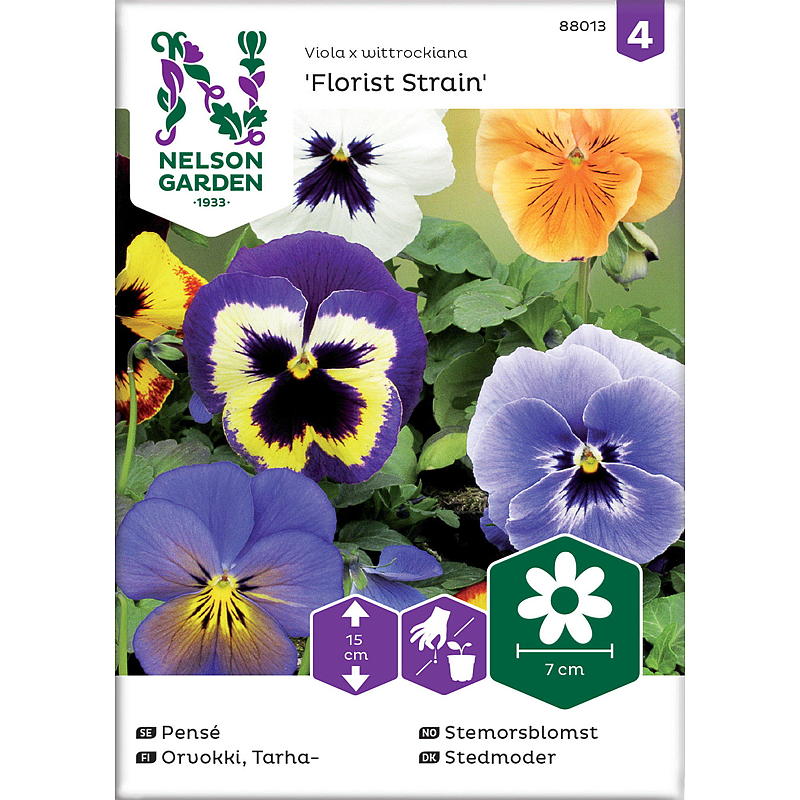 Nelson Gartensamen Stiefmütterchen Florist Schwarz, große Blüte