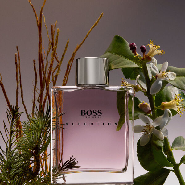 Selecția Hugo Boss