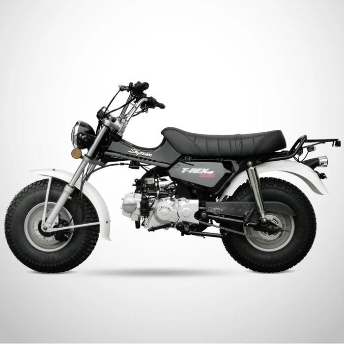 Mini Moto T-REX 125 SKYTEAM / Noir