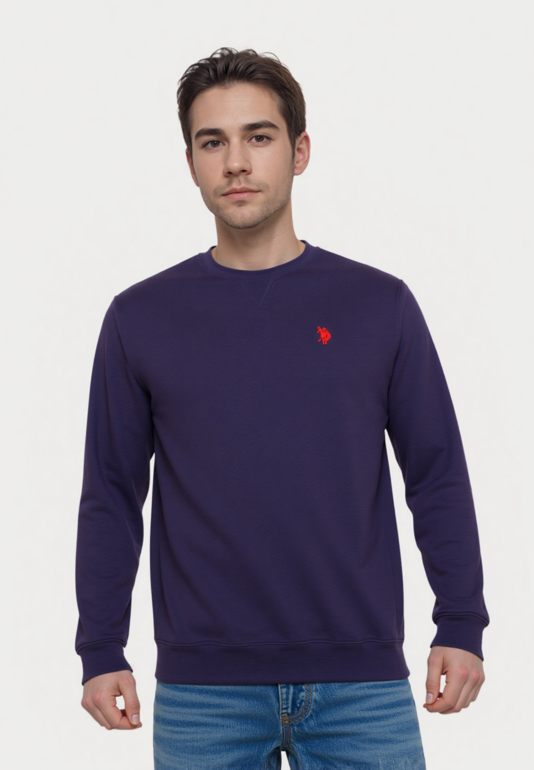US Polo Assn. R NECK - Pullover - dunkelblau