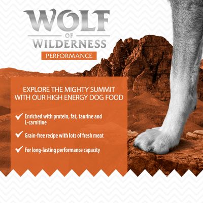 Wolf of Wilderness «Utforsk den mektige toppen» – Forestilling