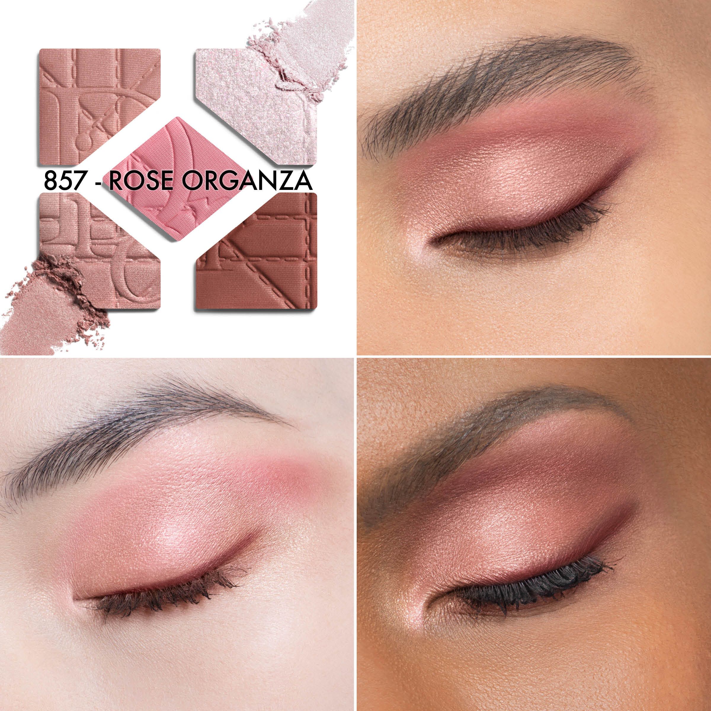 Diorshow 5 Couleurs Limited Edition Cannage acu ēnu palete Greznas acu ēnas