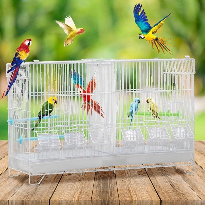 Gabbia - XUANYU - per canarini e piccoli uccelli esotici, in metallo verniciato bianco e vassoio in plastica
