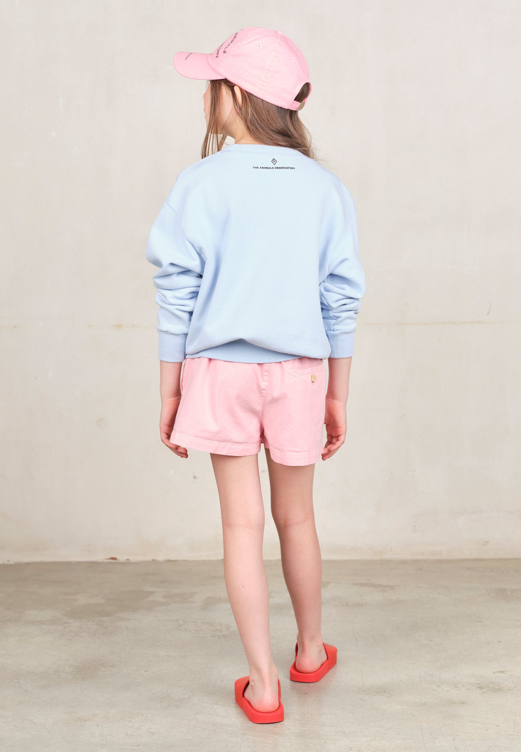 L'OBSERVATOIRE DES ANIMAUX - OURS - Sweat-shirt unisexe - bleu clair