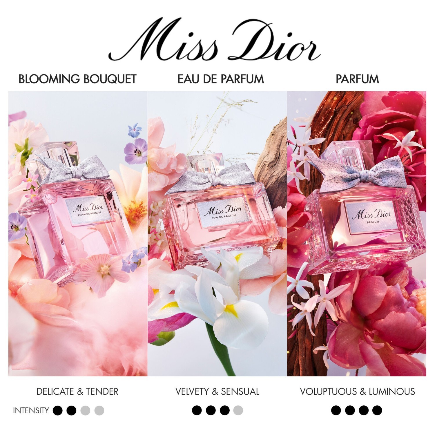 DIOR Miss Dior Eau de Parfum - 30 ml