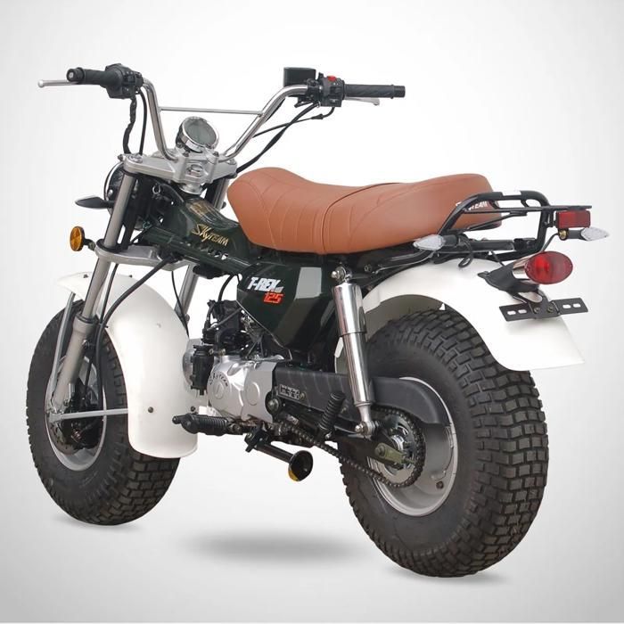Mini Moto T-REX 125 SKYTEAM / Vert