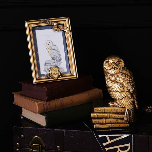 Gouden fotolijst met Hedwig voor Harry Potter-alumni