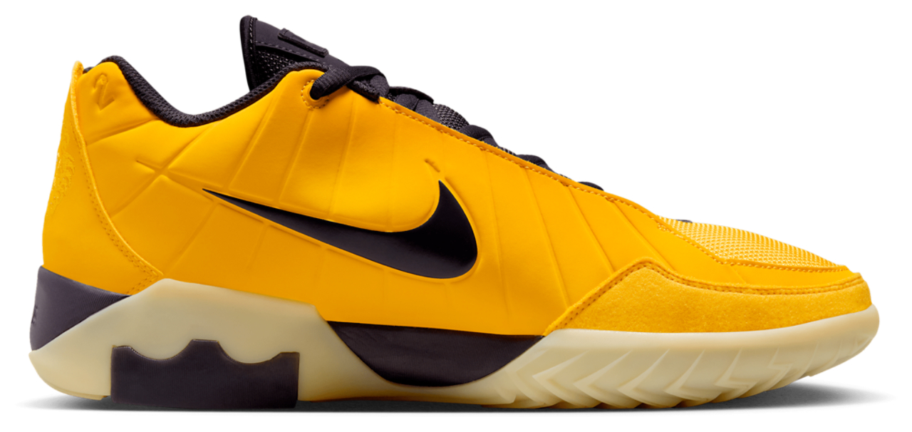 Nike Lebron Witness 9