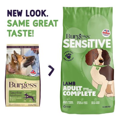 Burgess Sensitive Adult Dog Miel