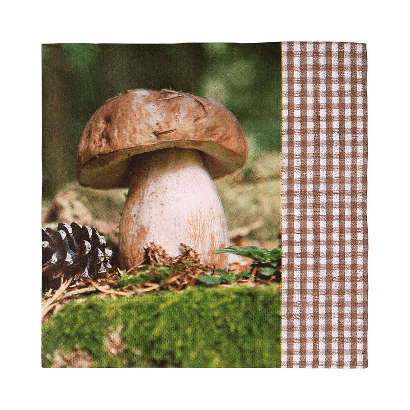Vie Eco Servetter 20-pack 33x33 cm Höstsäsong
