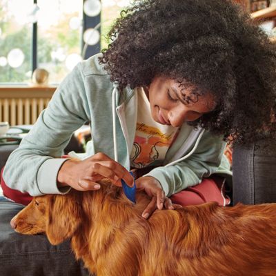 beaphar FIPROtec® Loppe- og flåtmiddel spot-on til hunde - L (20-40 kg)