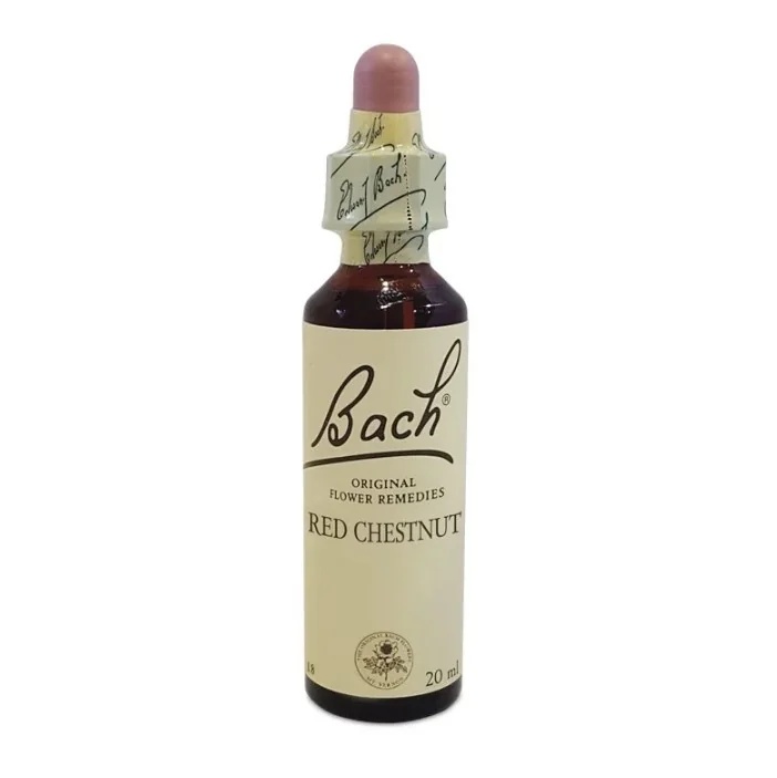 NATUR Bach Center Essentials Rote Kastanie 20 ml