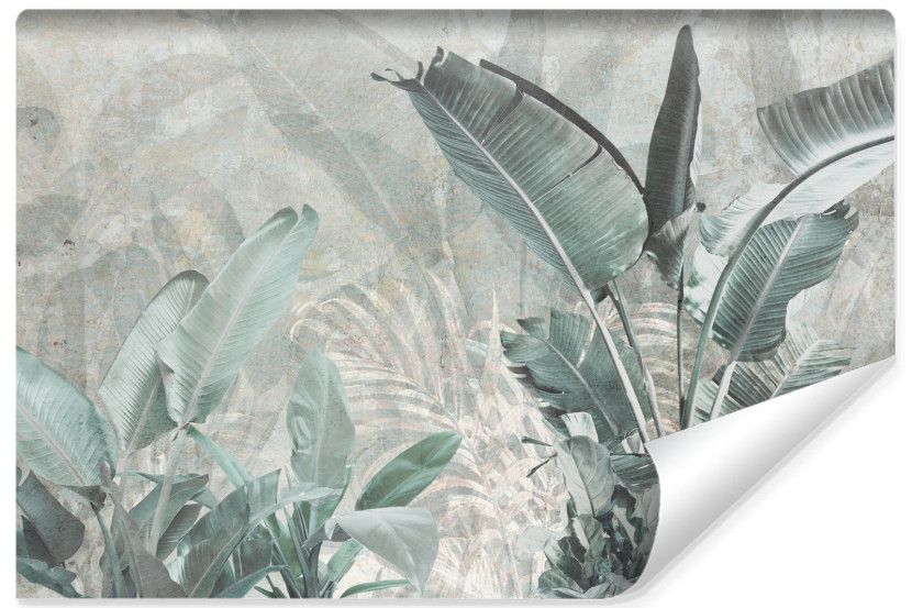 Fototapeta Liście Bananowca Na Betonie 90x60cm