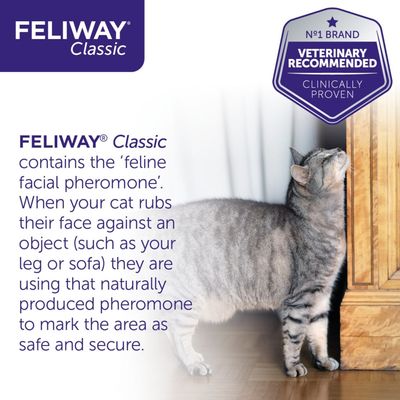 Recharge classique Feliway®