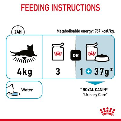 Royal Canin Urinary Care in Soße