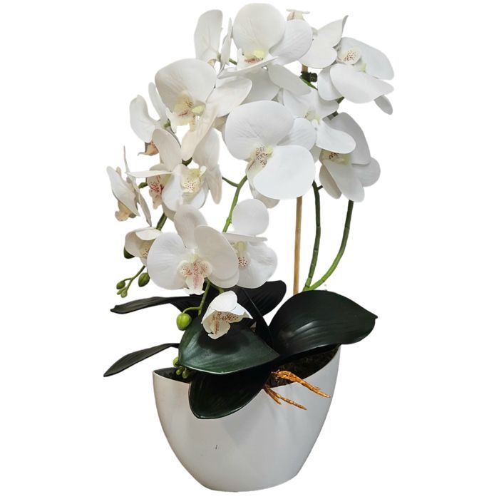 Fleur artificielle, orchidée, 3P, caoutchouc comme vivant, Damich