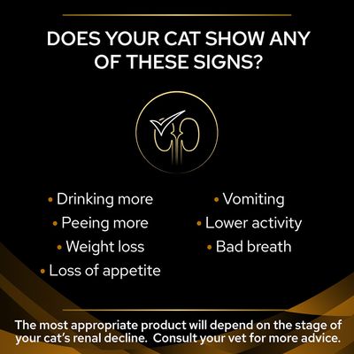PURINA PRO PLAN Veterinary Diets Feline NF Early Care - Kuře