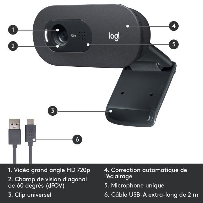 LOGITECH - C505 HD Webcam - USB HD 720p - Microfoon met groot bereik - Compatibel met pc of Mac - Grijs/Zwart