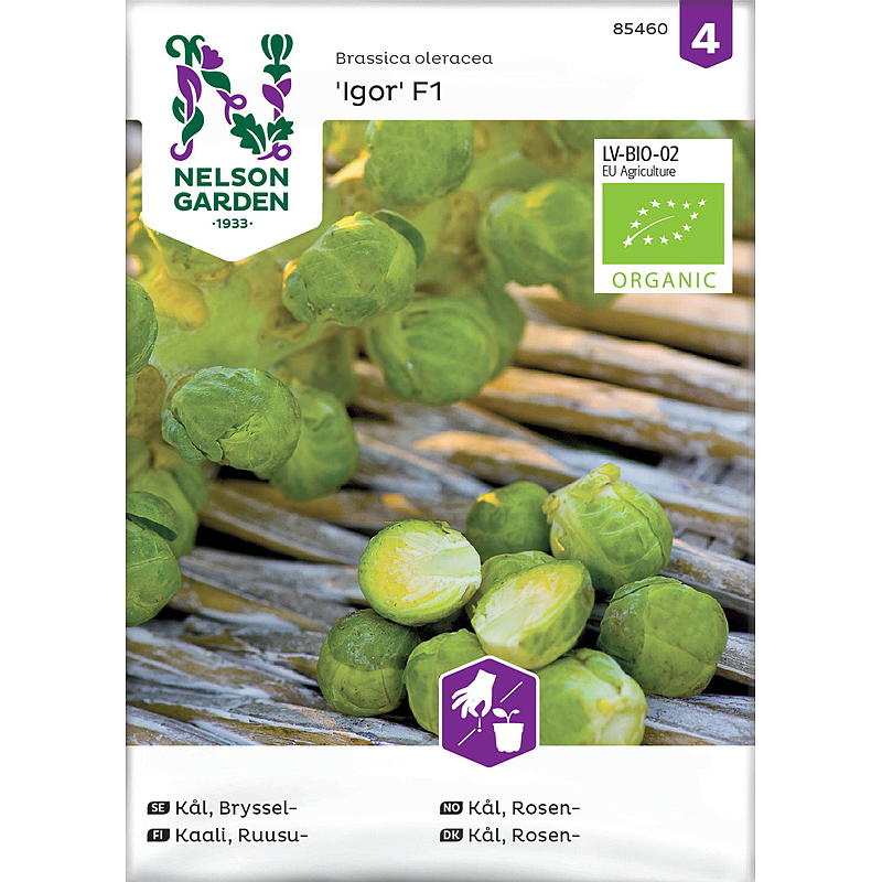 Nelson garden siemenet Kukkakaali, Igor F1, luomu