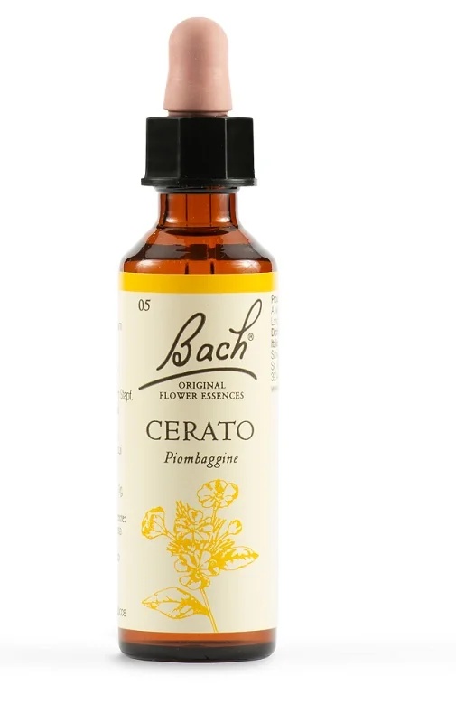 SCHWABE Schwabe Bachblüten 05 Wachstropfen 20 ml