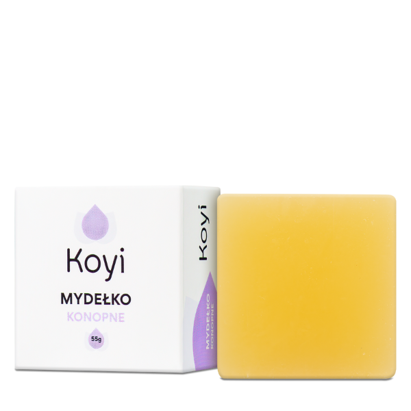 Koyi