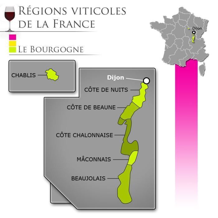 Reine Pédauque 2023 Pinot Noir - Red Burgundy Wine