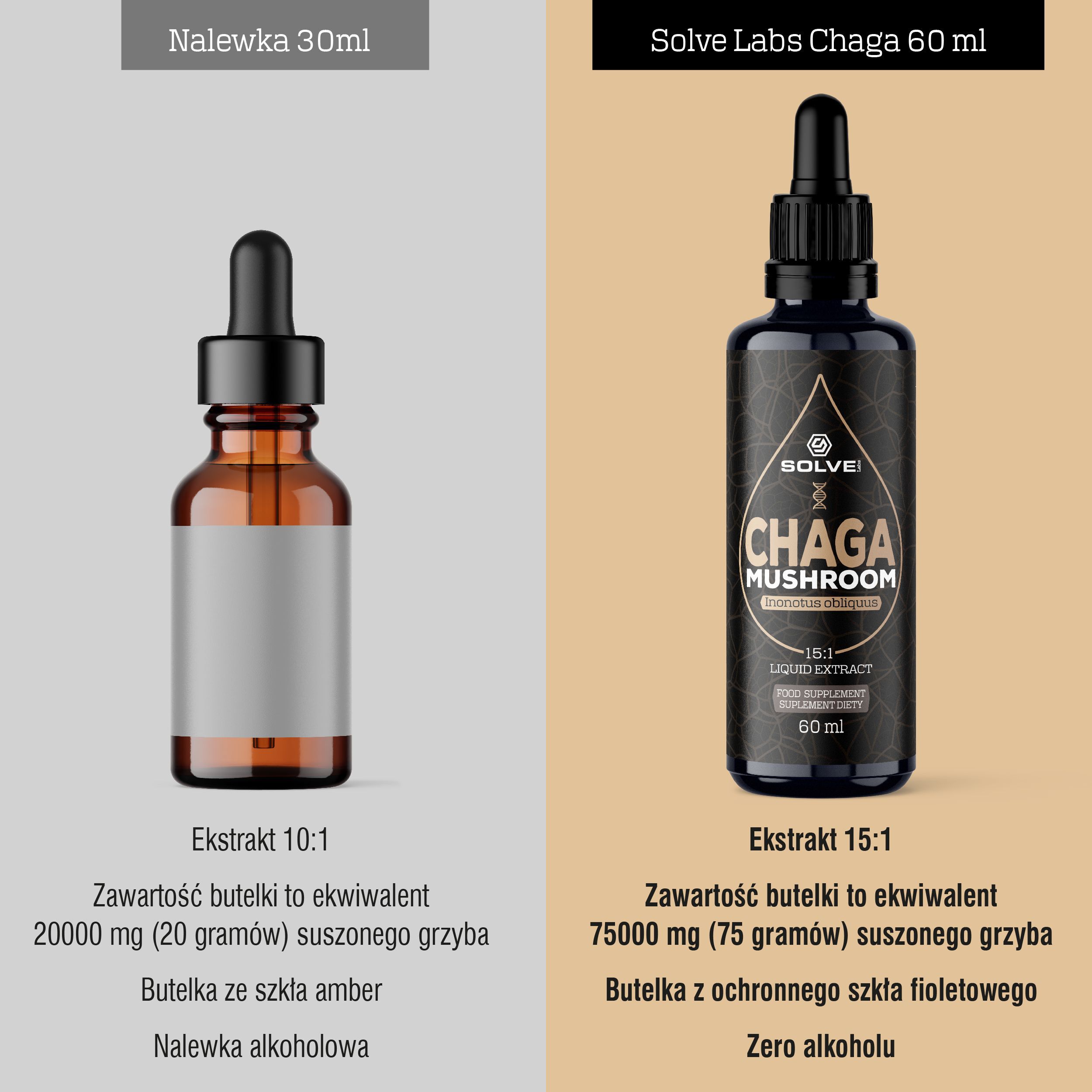 Solve Labs Chaga