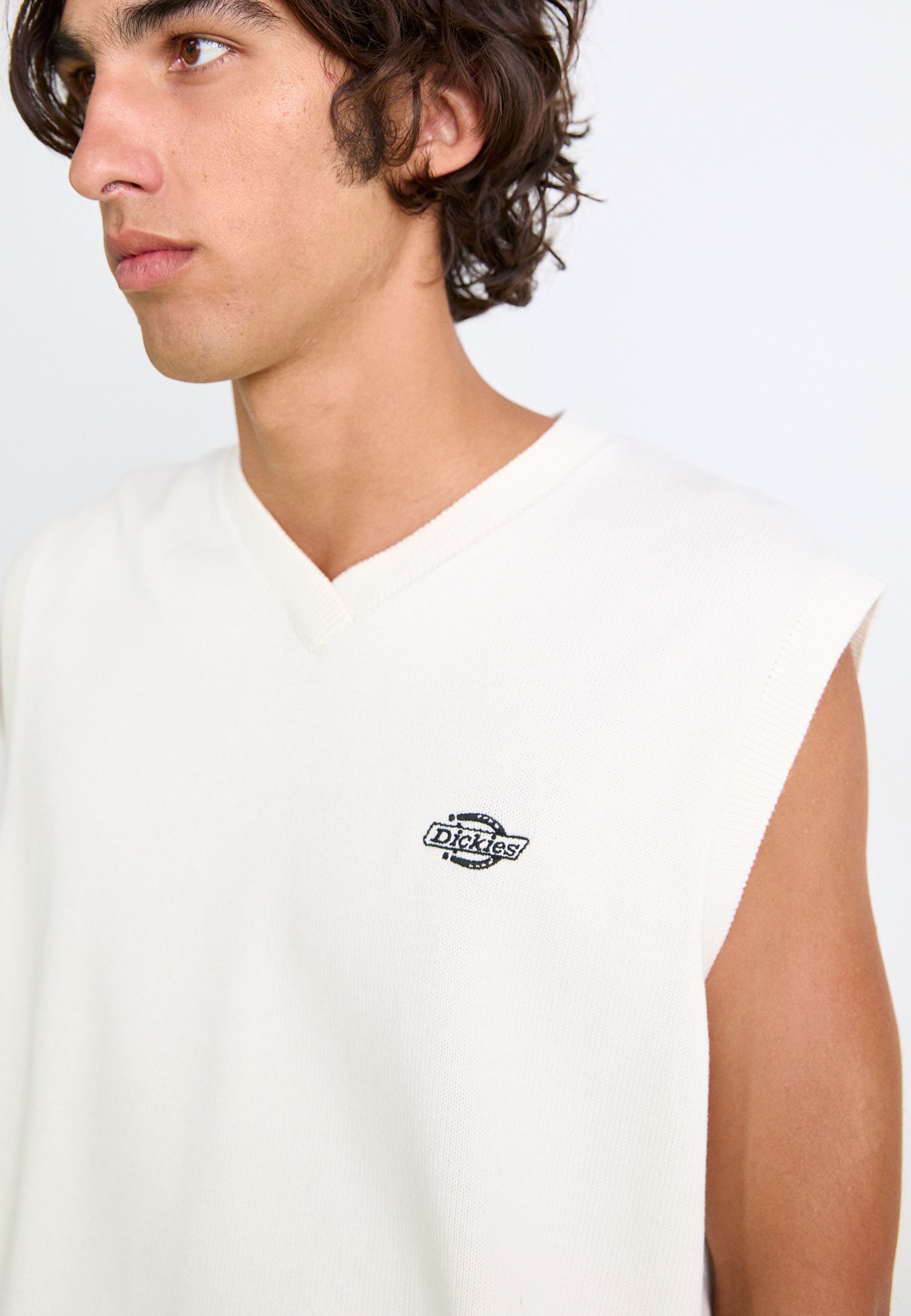 Maglione lavorato a maglia Dickies