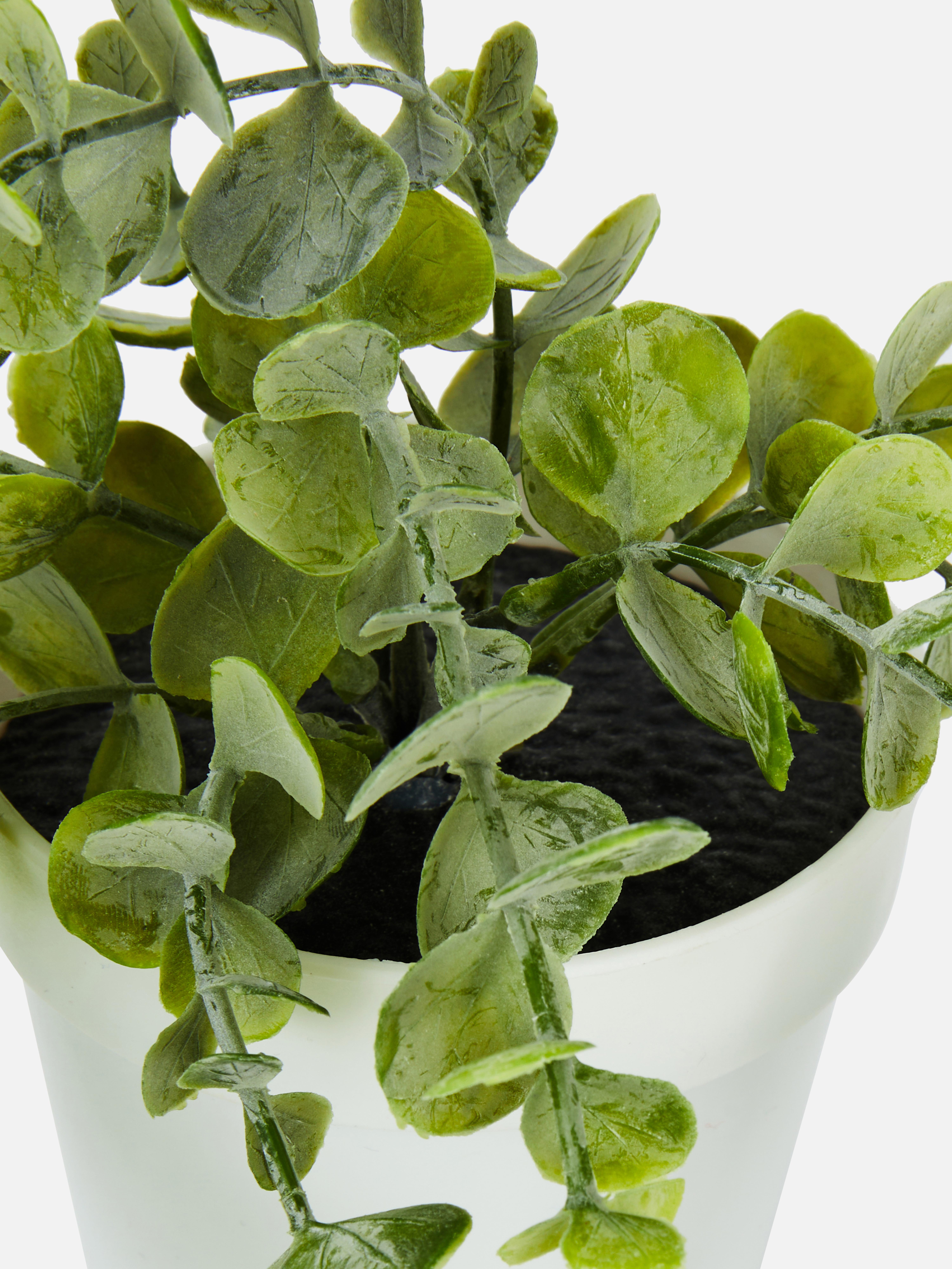 Plantă artificială suspendată în ghiveci. Creați o atmosferă naturală cu această plantă artificială.