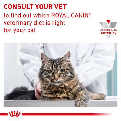Royal Canin Veterinary Cat - Urinary S/O