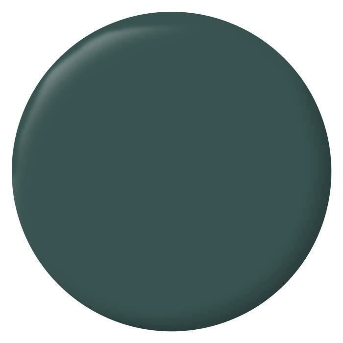 RIPOLIN Velvet Color Paint for Walls, Woodwork, Radiators - Armerie Green
