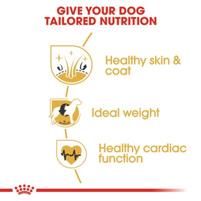Royal Canin Cocker Spaniel Volwassen