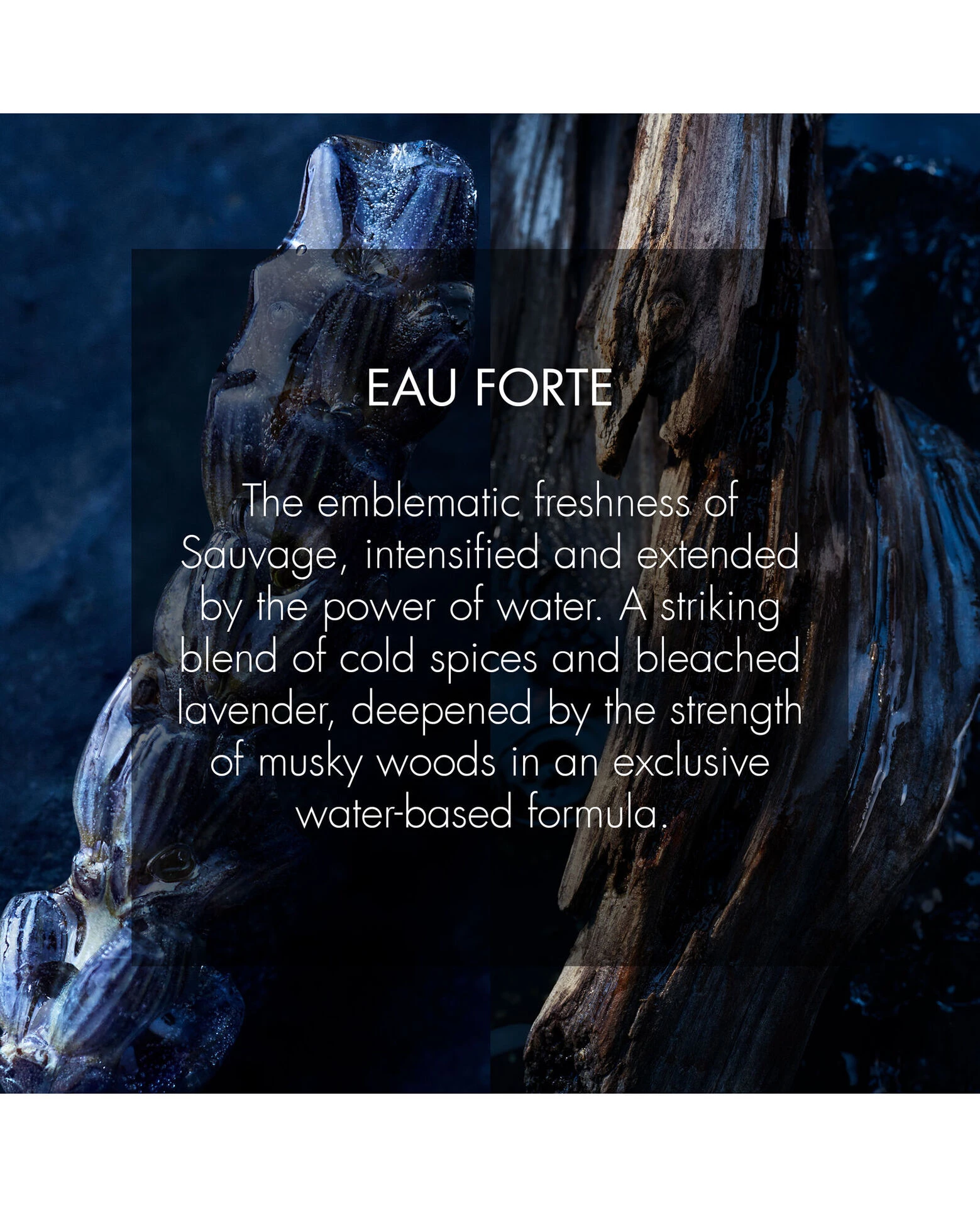 Sauvage Eau Forte 100 ml - DIOR